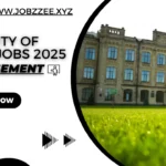 University of Punjab Jobs 2025 - PU Apply Online Advertisement